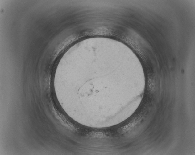 X0000085270534200703091354