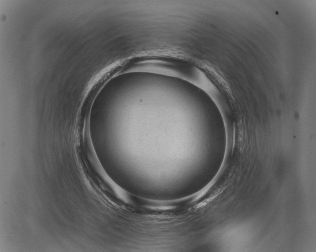 X0000085270536200703091354