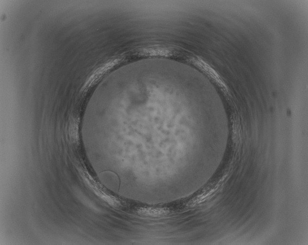 X0000085270537200703091354