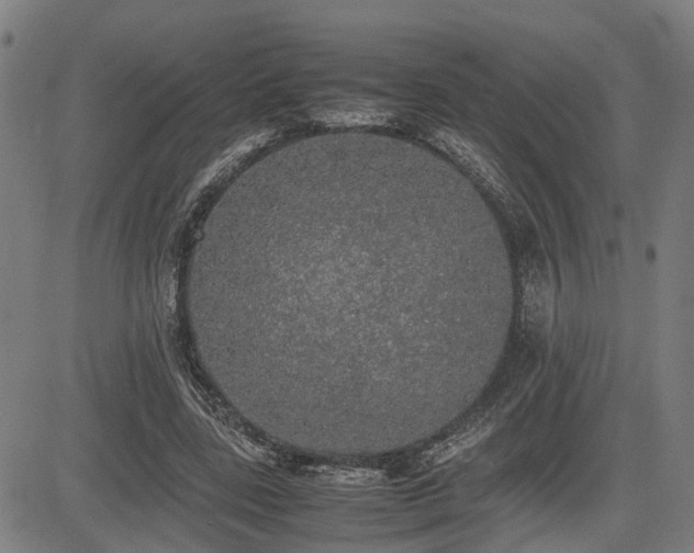 X0000085270539200703091354