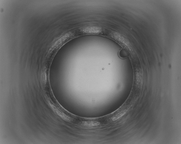 X0000085270541200703091354