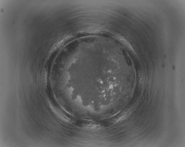 X0000085270542200703091354