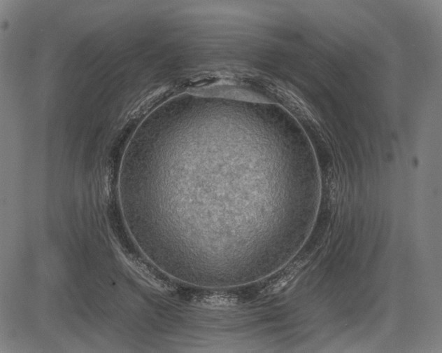 X0000085270546200703091354