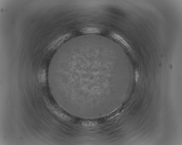 X0000085270549200703091354