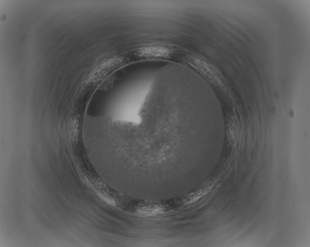 X0000085270551200703091354