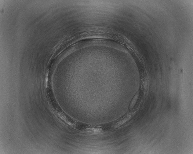 X0000085270552200703091354