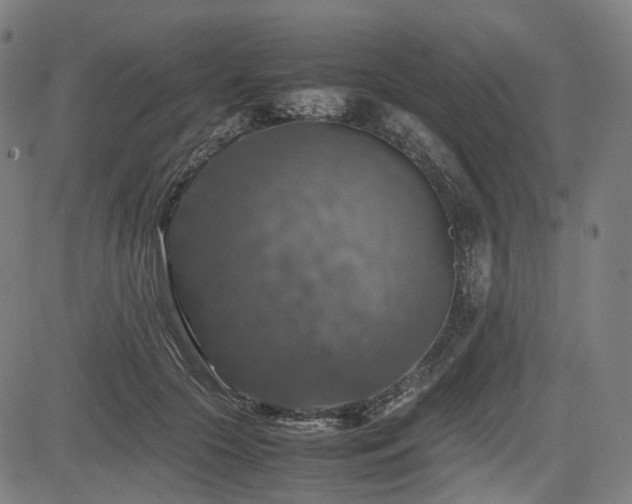 X0000085270553200703091354