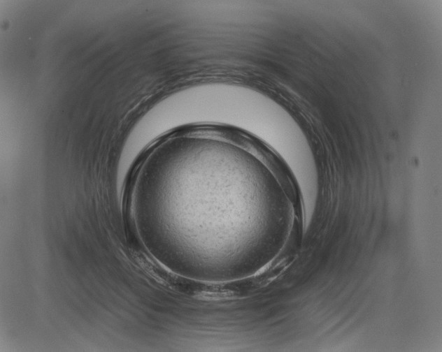 X0000085270556200703091355