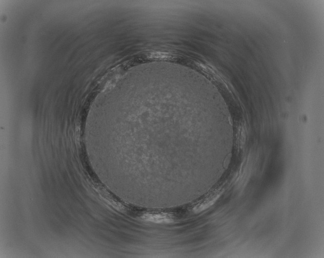 X0000085270557200703091355