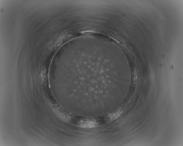 X0000085270559200703091355