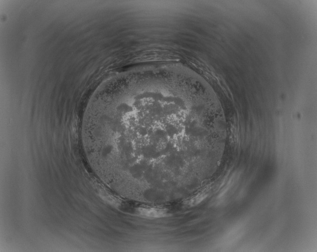 X0000085270561200703091355