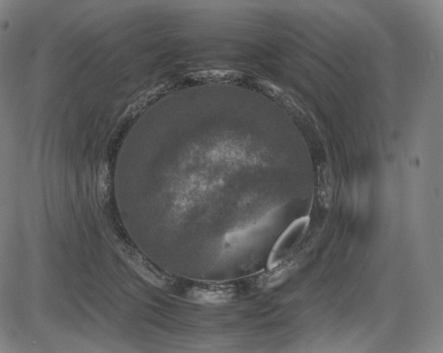 X0000085270563200703091355