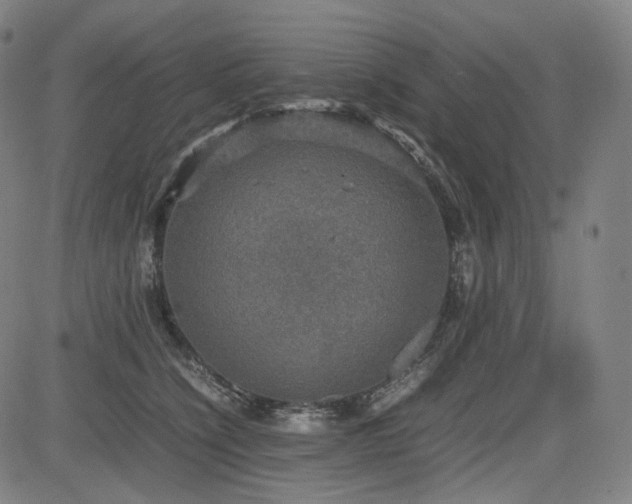 X0000085270564200703091355