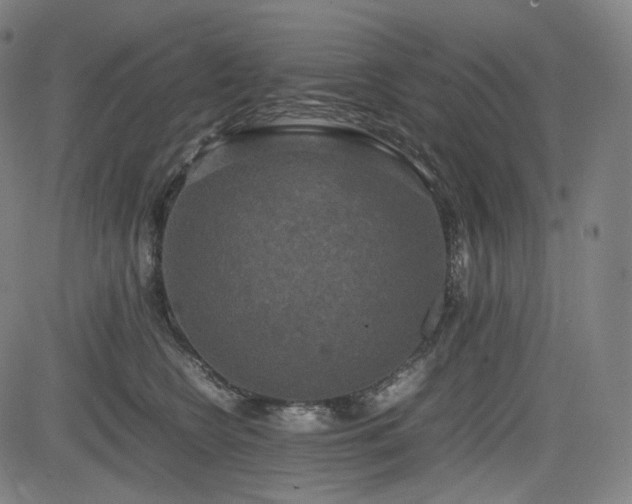 X0000085270566200703091355