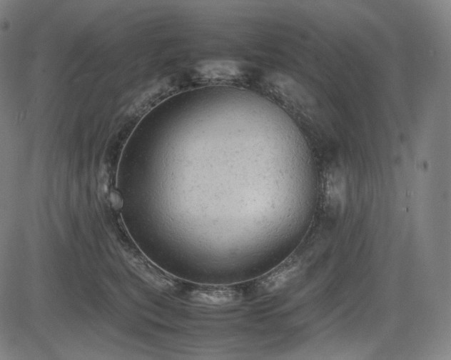 X0000085270567200703091355