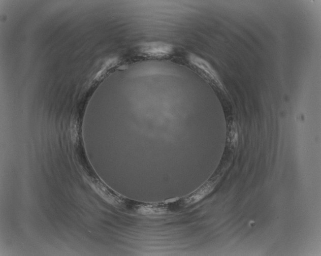 X0000085270568200703091355