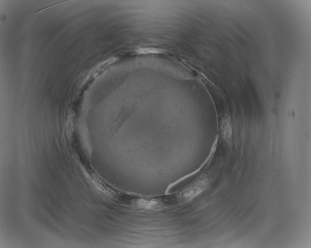 X0000085270570200703091355