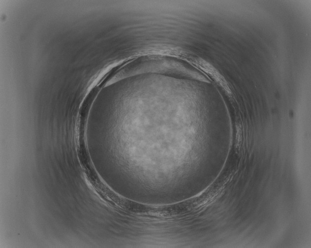 X0000085270580200703091354