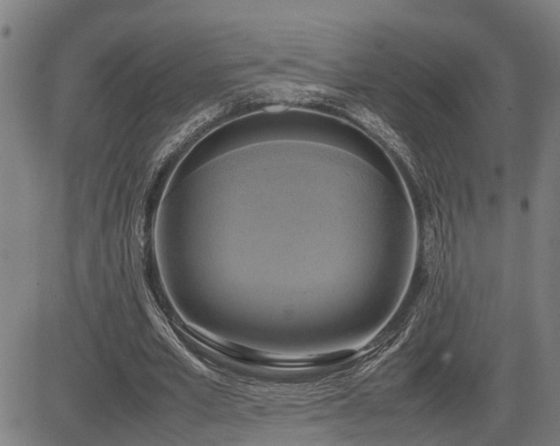 X0000085270581200703091354