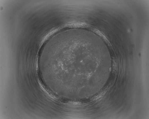 X0000085270582200703091354