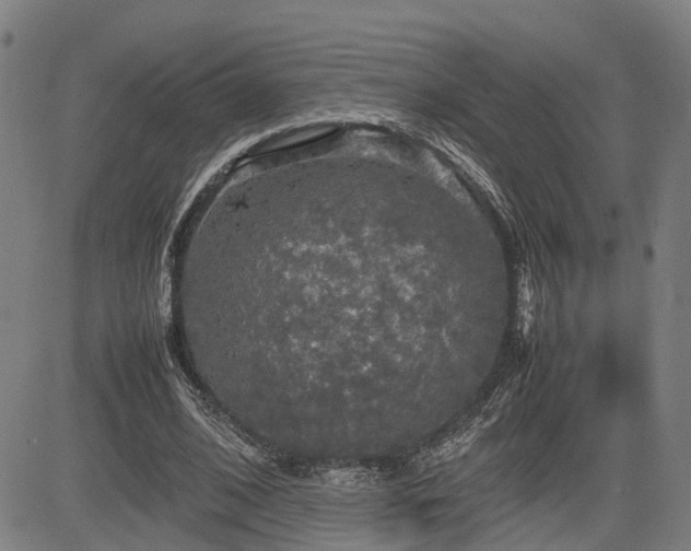 X0000085270584200703091354