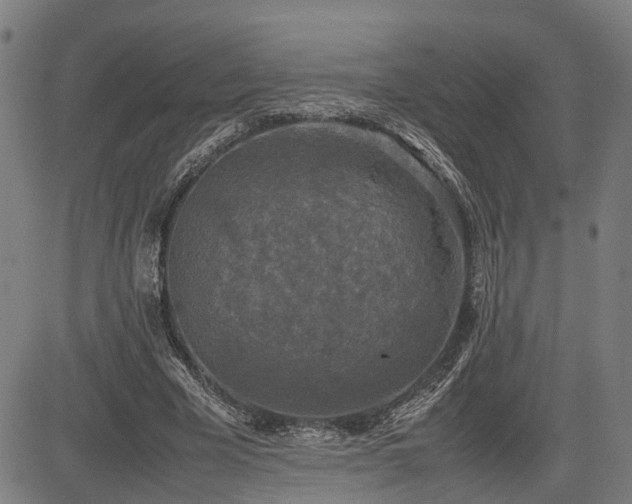 X0000085270585200703091354