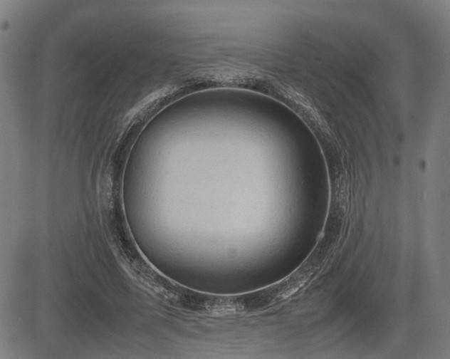 X0000085270587200703091354