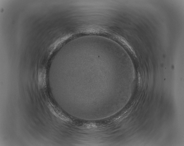 X0000085270588200703091354