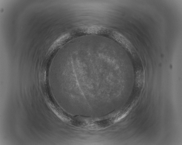 X0000085270589200703091354