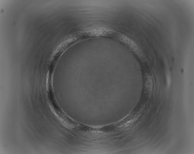 X0000085270590200703091354