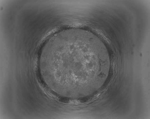 X0000085270591200703091354