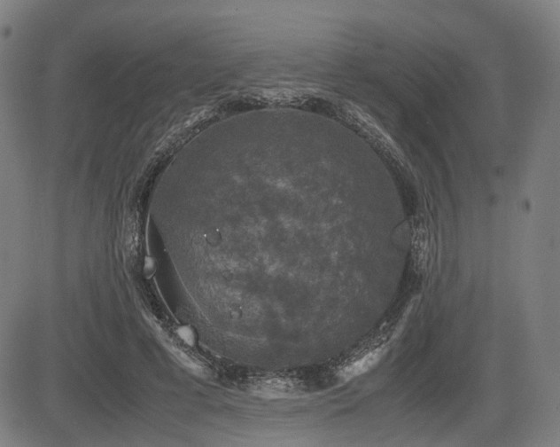 X0000085270593200703091354