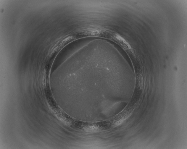 X0000085270594200703091354