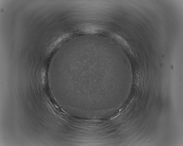 X0000085270596200703091354