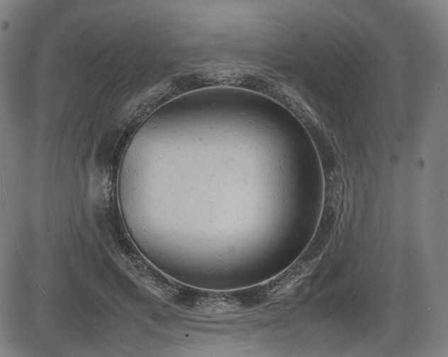 X0000085270597200703091354