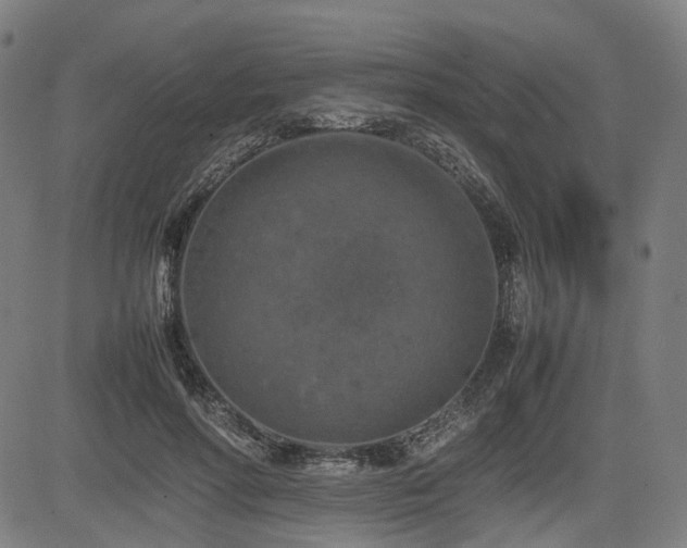 X0000085270598200703091354