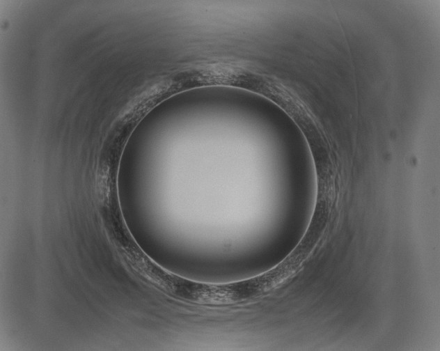 X0000085270599200703091354