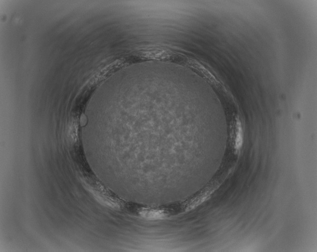 X0000085270602200703091354