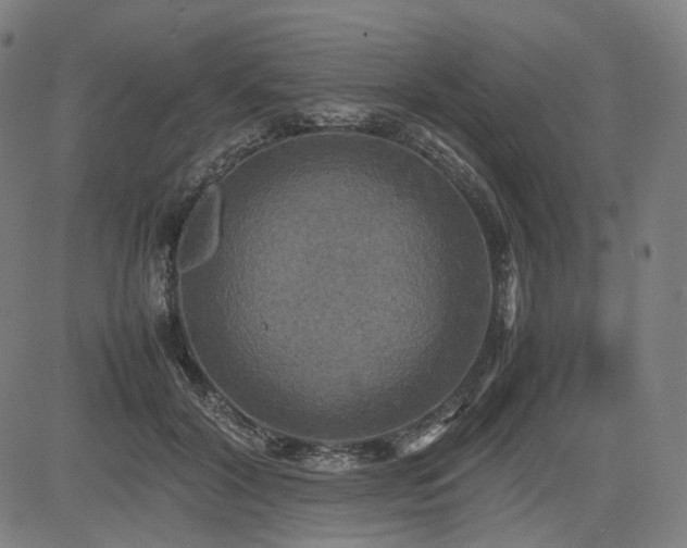 X0000085270604200703091354