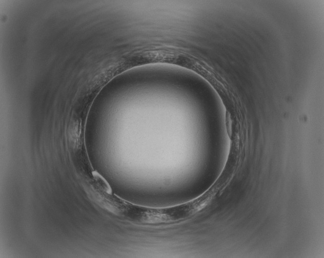 X0000085270605200703091354