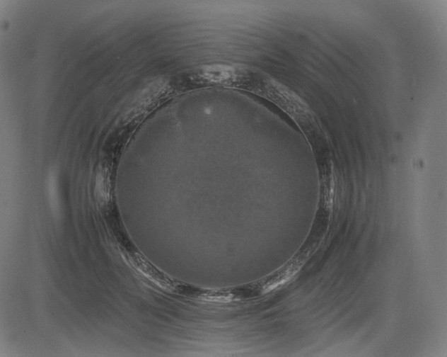 X0000085270606200703091354