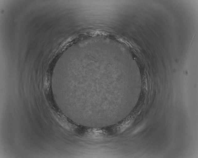 X0000085270607200703091354