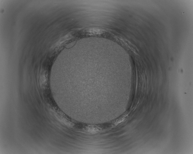 X0000085270608200703091354