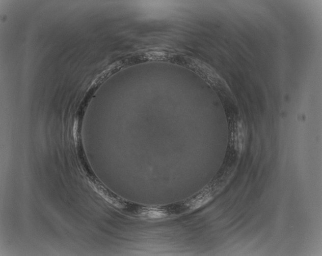 X0000085270610200703091354