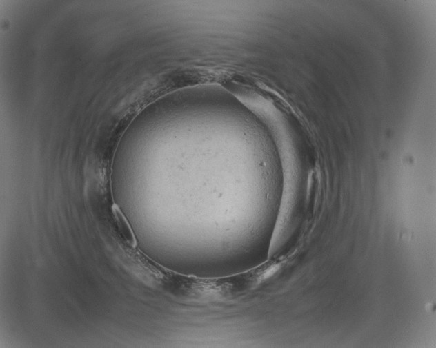 X0000085270613200703091353