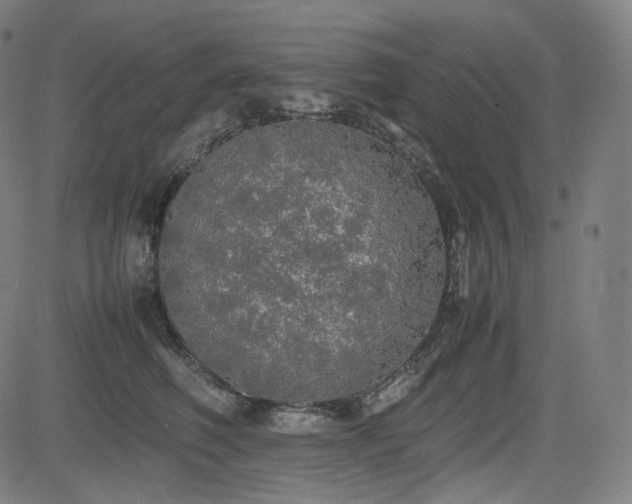 X0000085270614200703091353