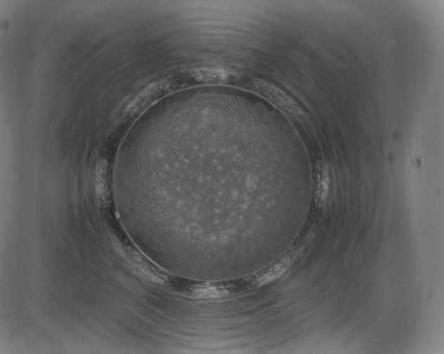 X0000085270616200703091353