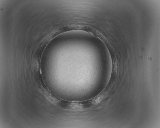 X0000085270617200703091353