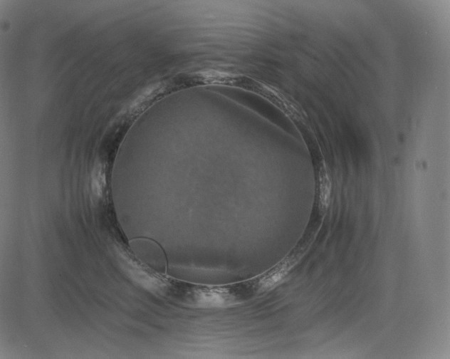 X0000085270618200703091353