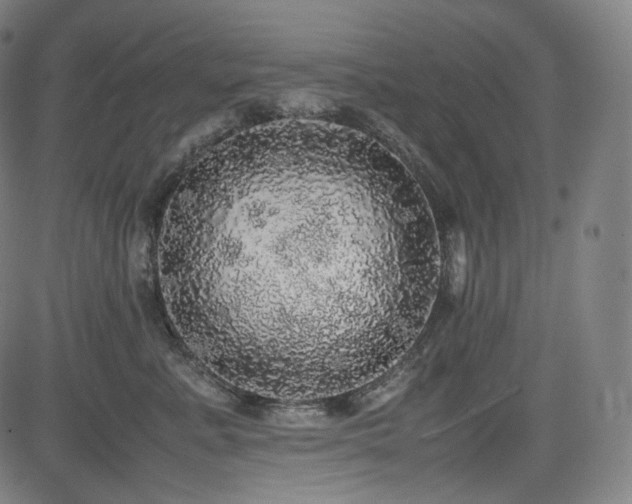 X0000085270619200703091353